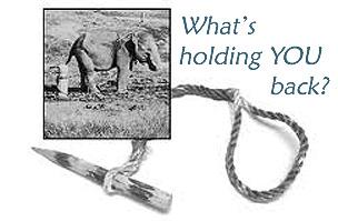 The Curious Case Of Mental Helplessness