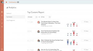 Why I dig coschedule